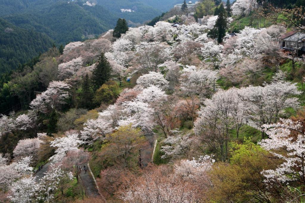 Ryokan Kato Yoshino  Εξωτερικό φωτογραφία
