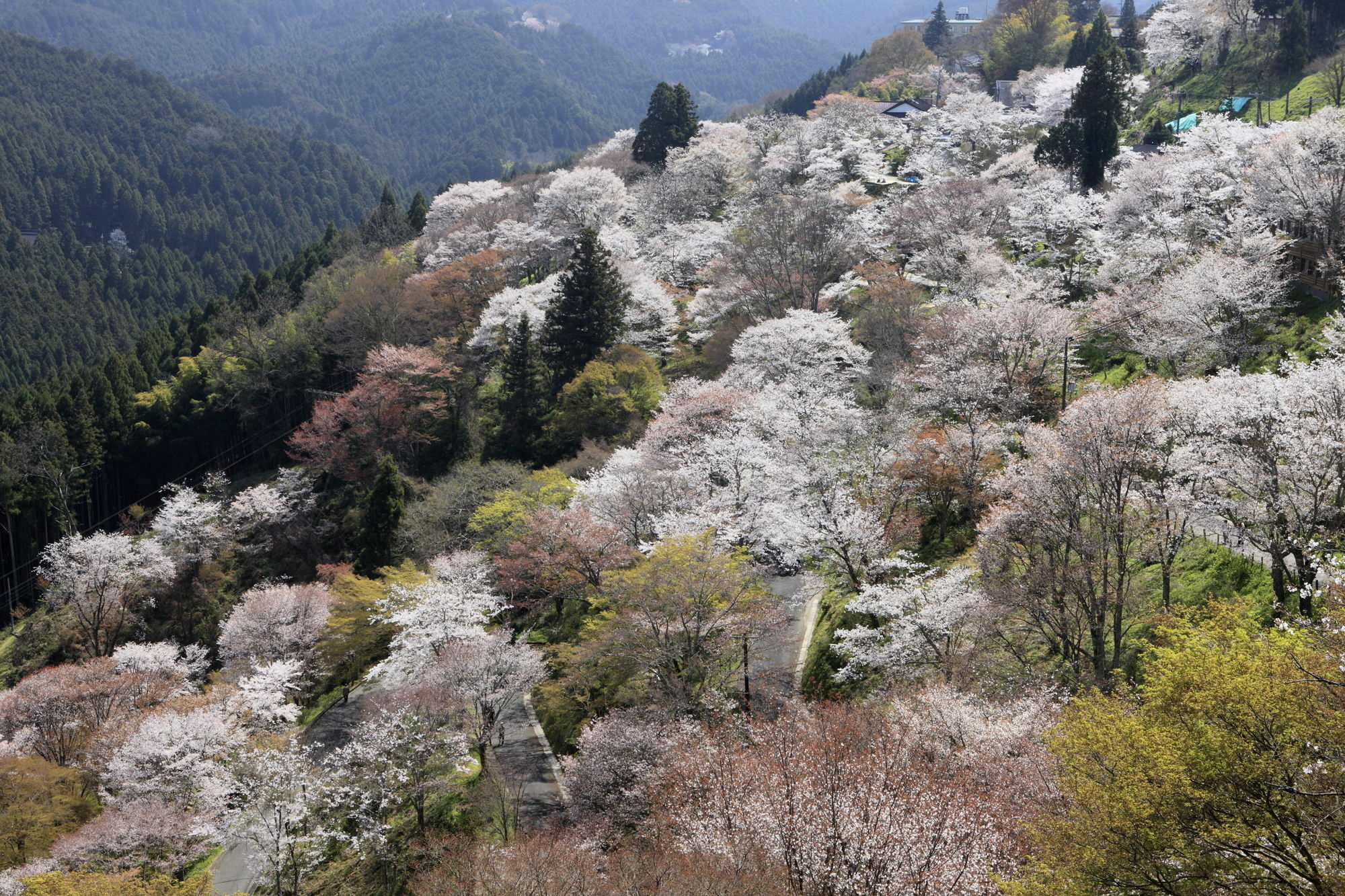 Ryokan Kato Yoshino  Εξωτερικό φωτογραφία